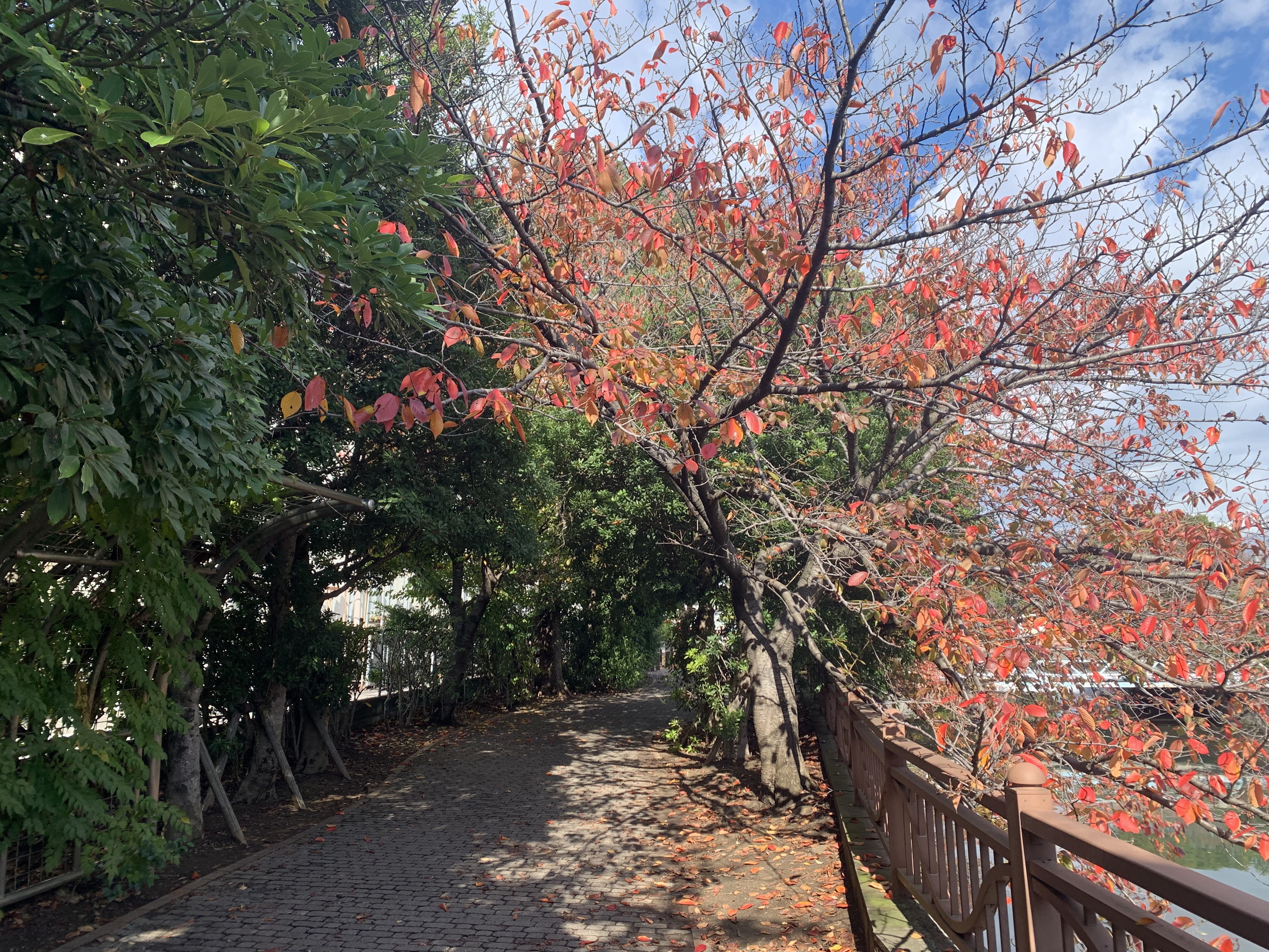 「歯」が白くなりました！！