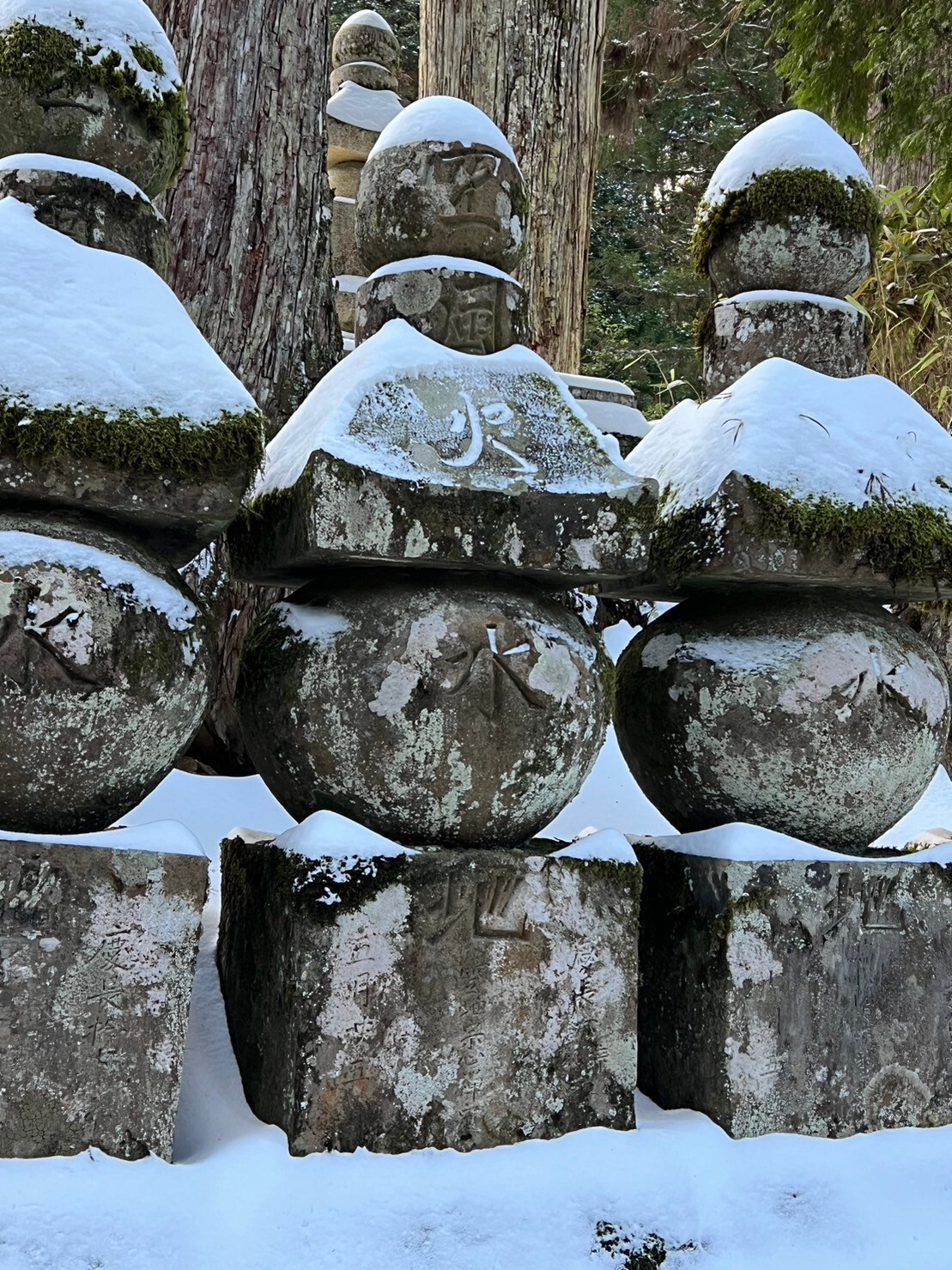 行動指針　⑳　プロの医療人になる