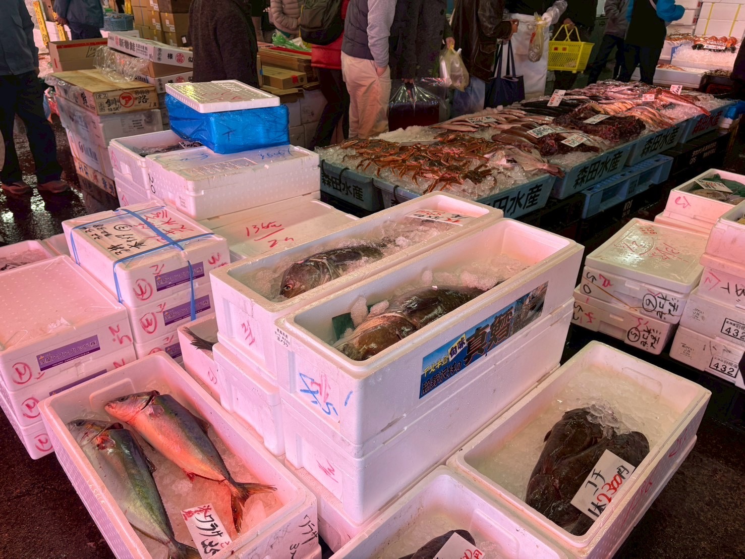 お魚買いに市場に参った話🐟🐠🐡