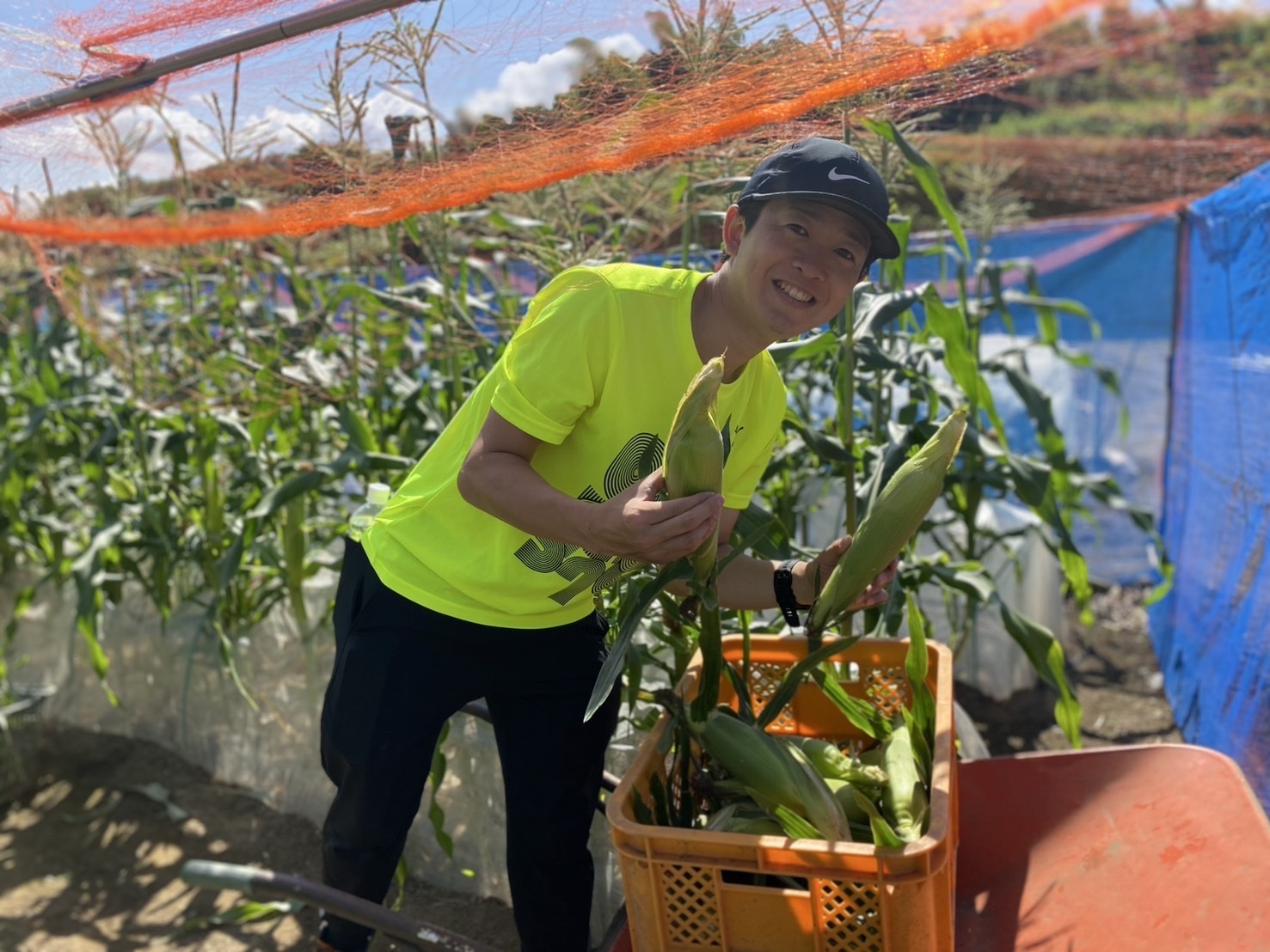 夏野菜収穫🌽
