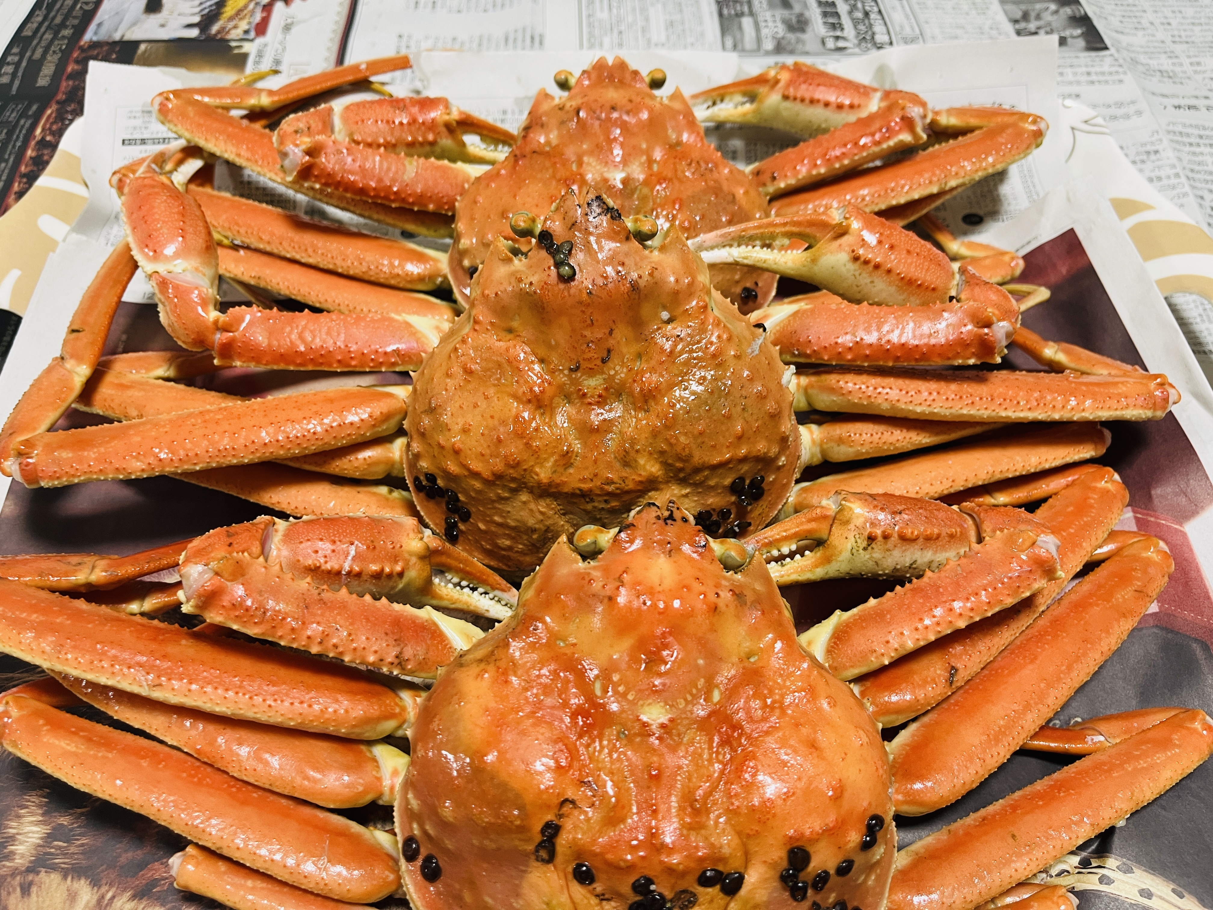 松葉ガニの時期がやってきましたね🦀🦀