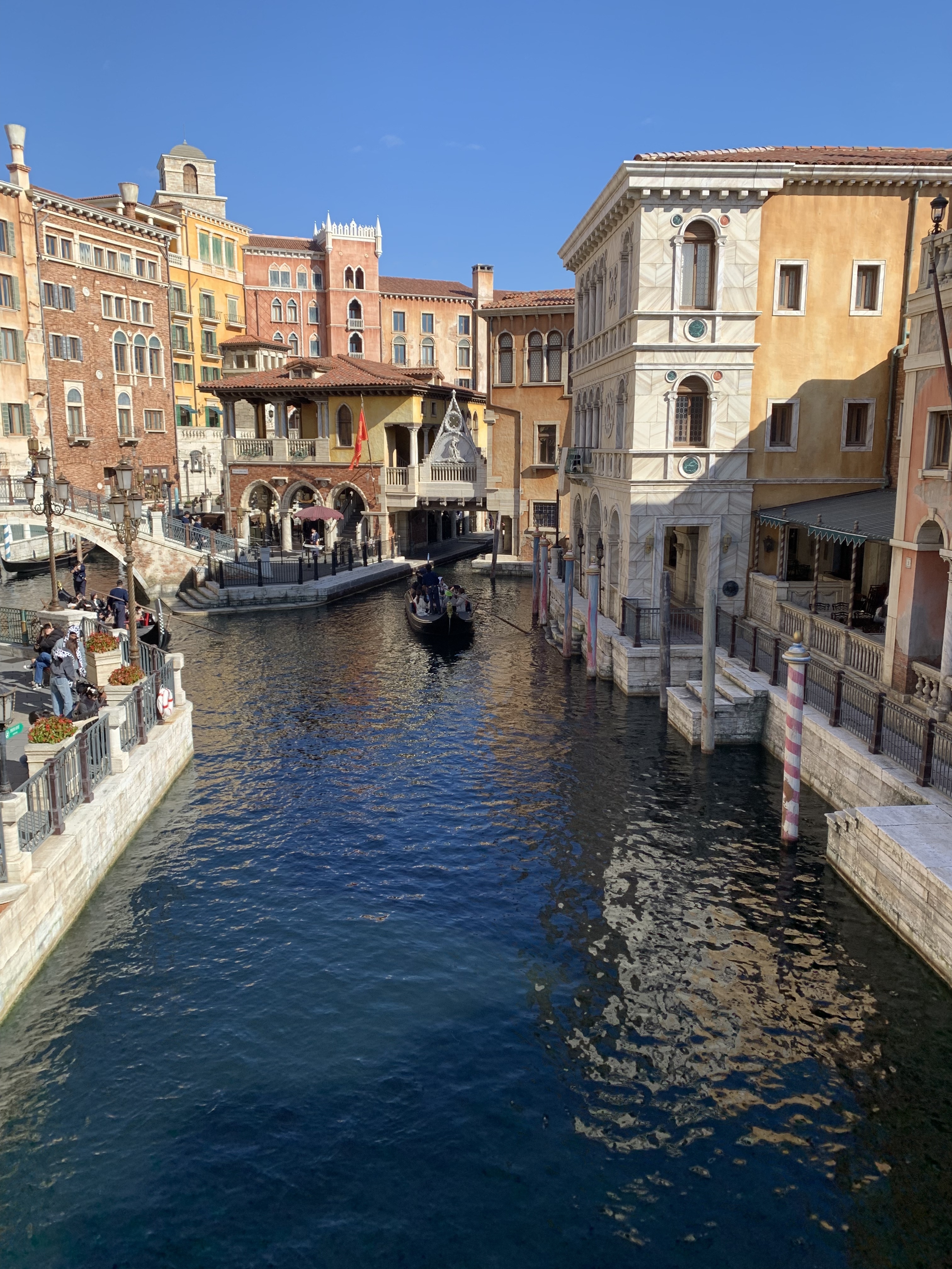 ディズニーシー視察！？